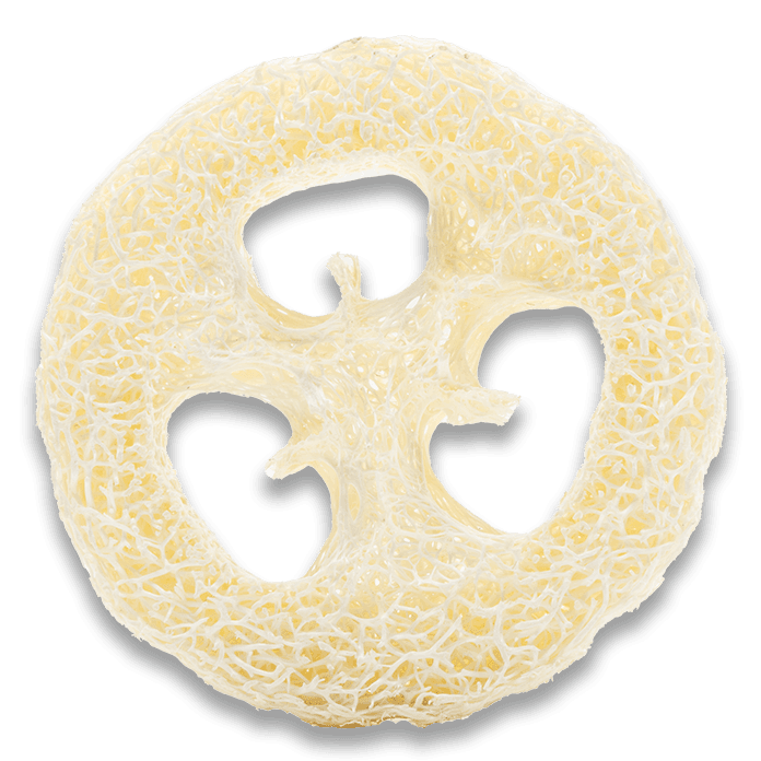 Loofys-Loofah