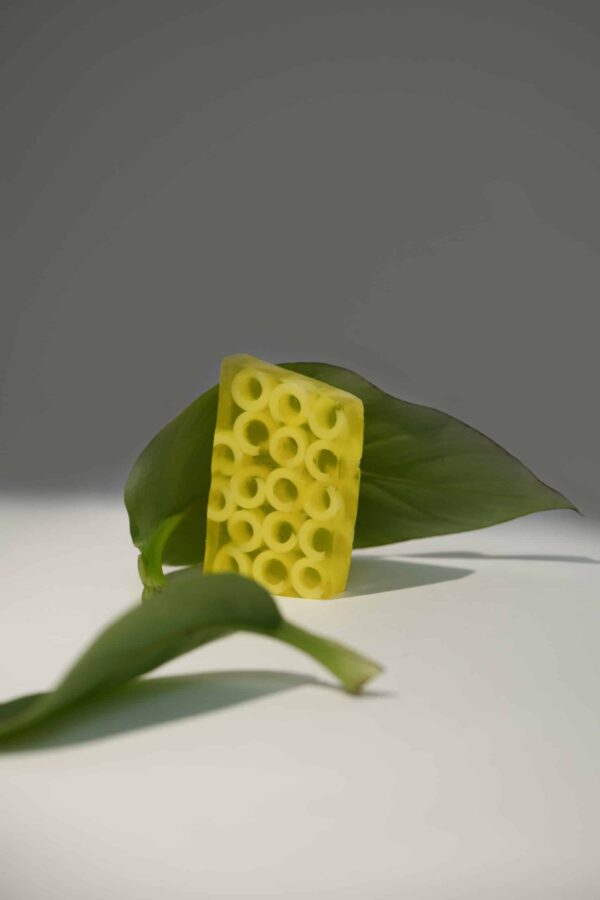 banana body bar loofys
