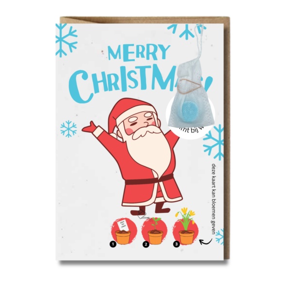 kerst kaart loofys